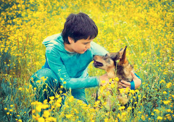 Ein Hundeblick setzt sowohl beim Menschen als auch beim Hund das Hormon Oxytocin frei