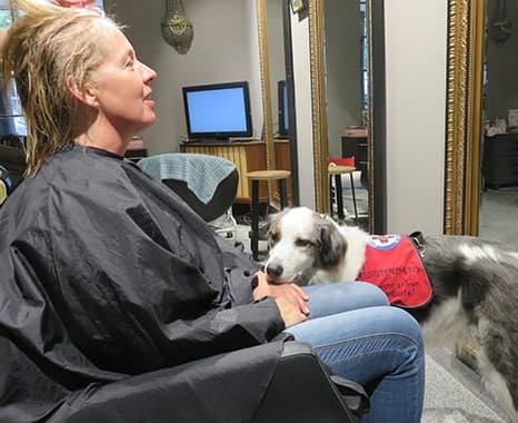 Assistenzhund Matze beim Friseur Assistenzhund Matze beim Friseur