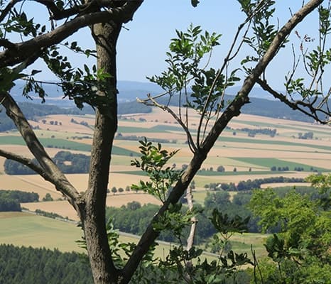 Assistenzhund Matze beim Wandern - Ausblick Assistenzhund Matze beim Wandern - Ausblick