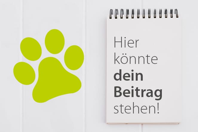 Hundeblogger Aktion - Hunde als Helfer