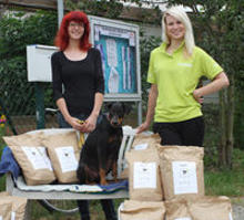 Hunde Tierheim Wurzen Spende