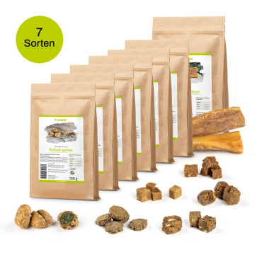 Hundesnackbox: Unser Leckerli-Kennenlernpaket