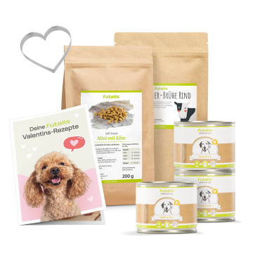 Valentins-Überraschung für deinen Hund