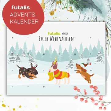 Adventskalender für Hunde zum Befüllen