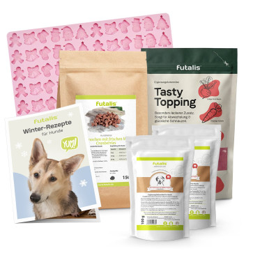 Wintermenü für Hunde - Schwein
