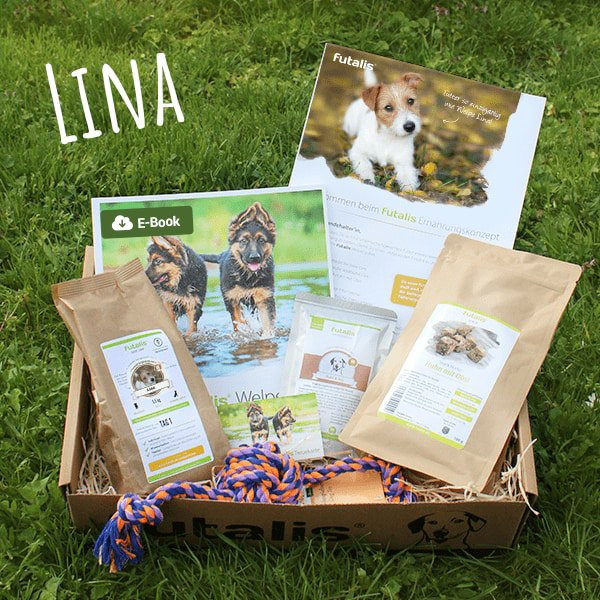 Corrugated Boxes packaging