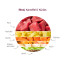 futalis additional care mit Rind mit Kartoffel & Kürbis Rohstoffe