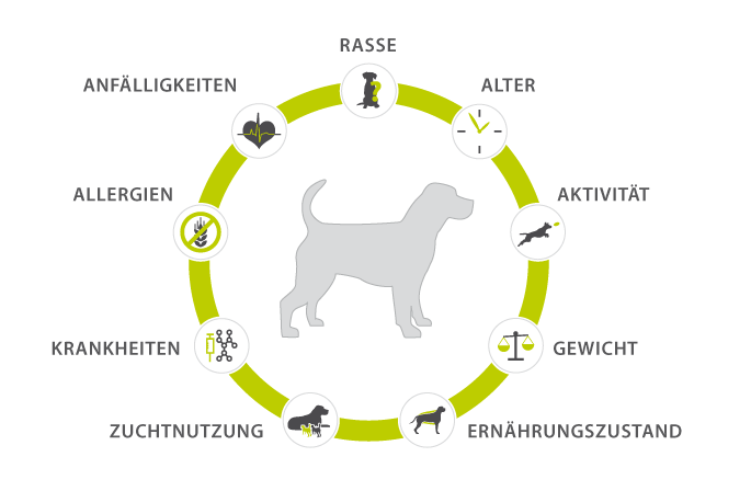 Kriterien zur Bedarfsanpassung