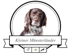 Hundefutter Kleiner Münsterländer Kleiner Münsterländer Futter für rassespezifische Krankheiten