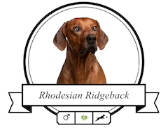 Hundefutter Rhodesian Ridgeback Rhodesian Ridgeback Futter für rassespezifische Krankheiten