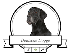 Hundefutter für Deutsche Doggen Deutsche Dogge Futter für rassespezifische Krankheiten