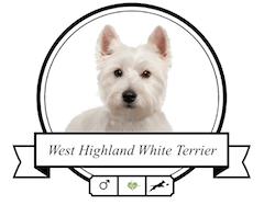 Hundefutter West Highland White Terrier West Highland White Terrier Futter für rassespezifische Krankheiten