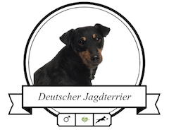 Hundefutter Deutscher Jagdterrier Deutscher Jagdterrier Futter für rassespezifische Krankheiten