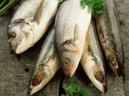 Vitamin D in Fisch Vitamin D in Fisch