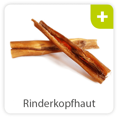 Hundespiele Fur Zu Hause Hunde Beschaftigen Futalis De