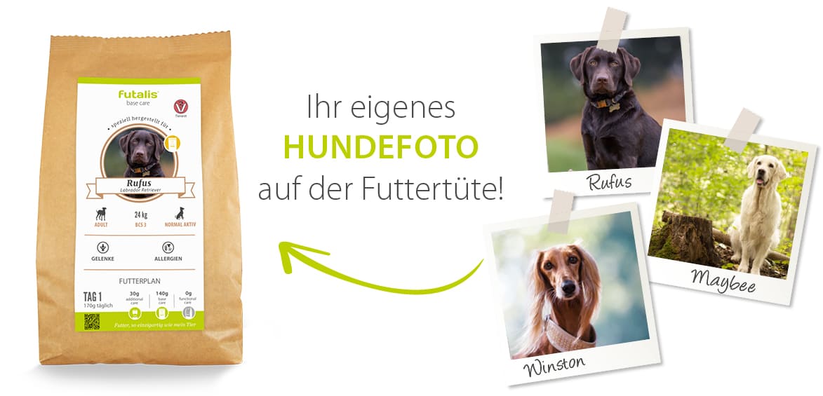 Hundefutter mit eigenem Hundefoto Hundefutter mit eigenem Hundefoto