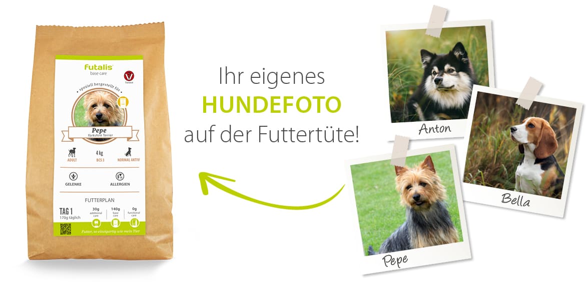 Hundefutter mit eigenem Hundefoto Hundefutter mit eigenem Hundefoto