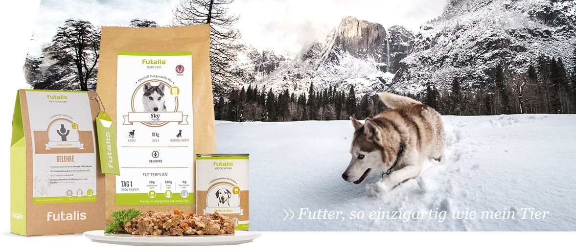 Futter berechnen Hunde im Herbst