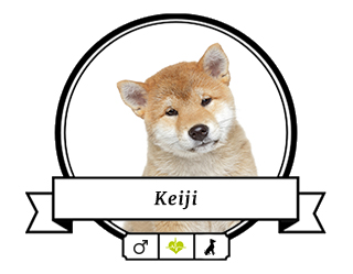 Akita Keiji Akita Keiji
