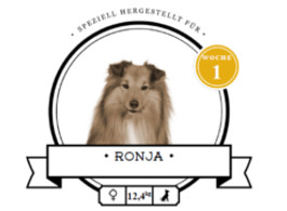futalis Kundenstimme von: Ronja (Sheltie) futalis Kundenstimme von: Ronja (Sheltie)