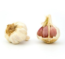 Knoblauch