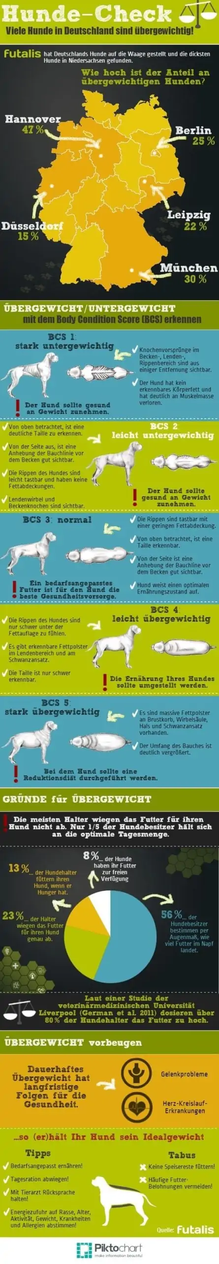 Hunde Check Infografik