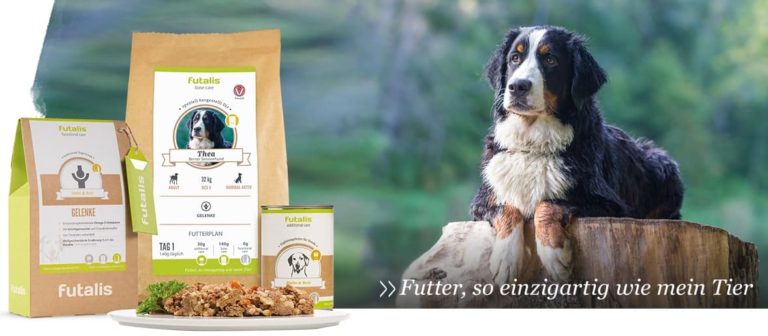 Geschmackssinn Des Hundes