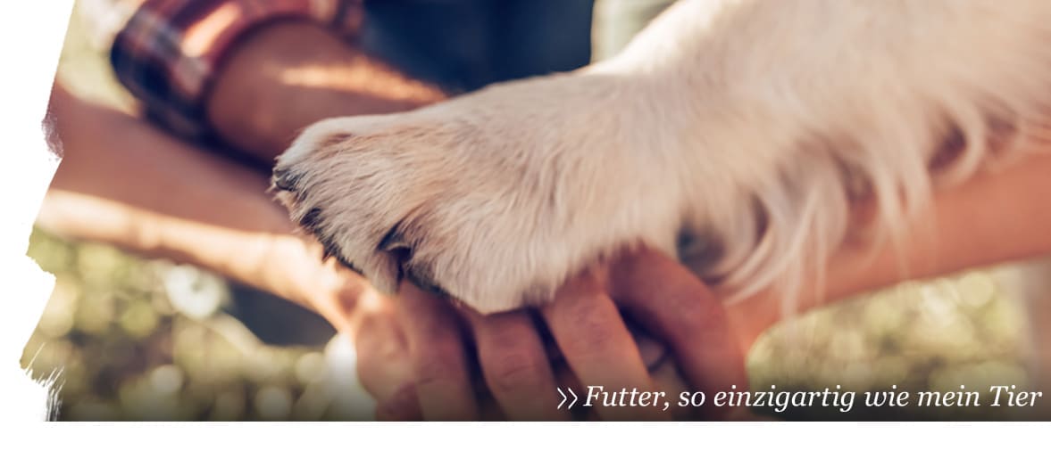 futalis - für mehr Hundegesundheit