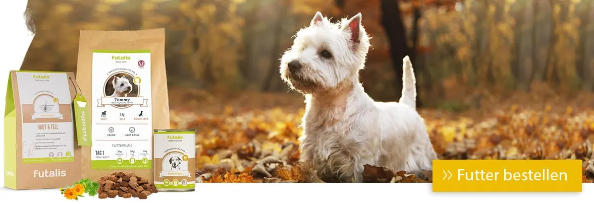 West Highland Terrier Rassefutter