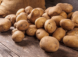 Rohstoffe im Hundefutter - Kartoffeln