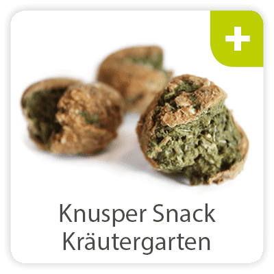 Knuspersnack-Kräutergarten