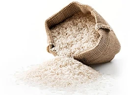 Rohstoffe für Hundefutter - Reis