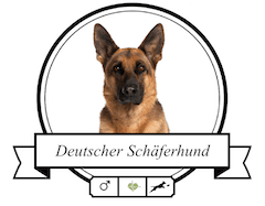 Deutscher Schäferhund rassespezifische Krankheiten