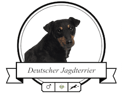 Hunderasse Deutscher Jagdterrier
