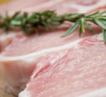 verarbeitetes Schweinefleisch für eine gesunde Hundeernährung
