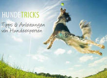 Hundetricks E-Book
