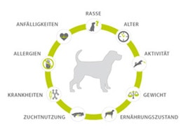 Kriterien der Bedarfsananlyse