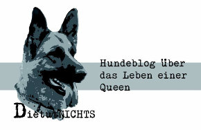 Die tut nicht Logo