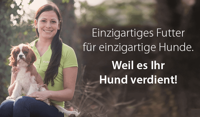 Statement jeder Hund ist einzigartig