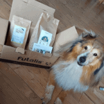 Hund-steht-vor-futalis-Paket