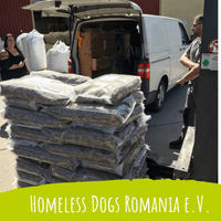 Spende-homeless-dogs-romania-e-v