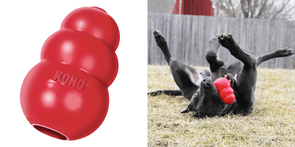 Hund-mit-Kong-Hundespielzeug