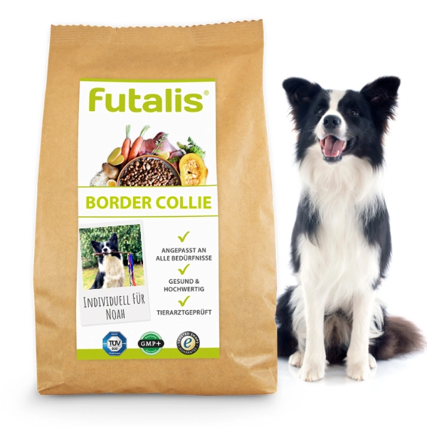 Border Collie Rassefutter