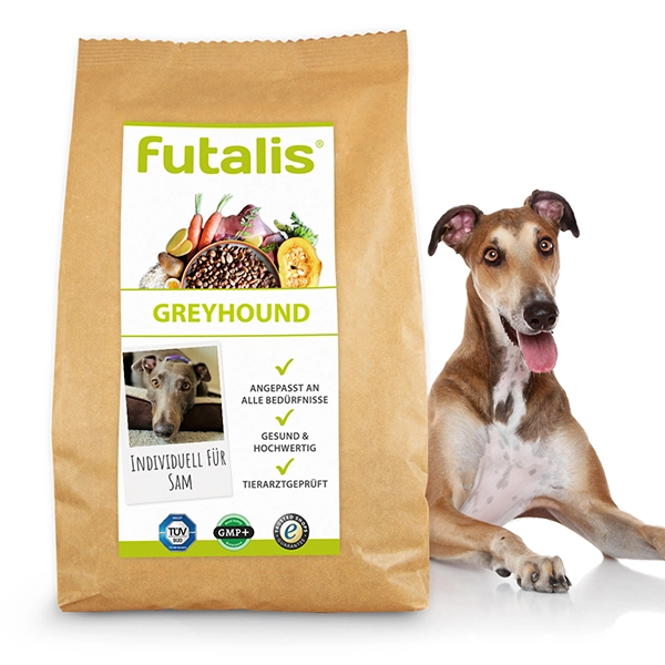 Greyhound Rassefutter