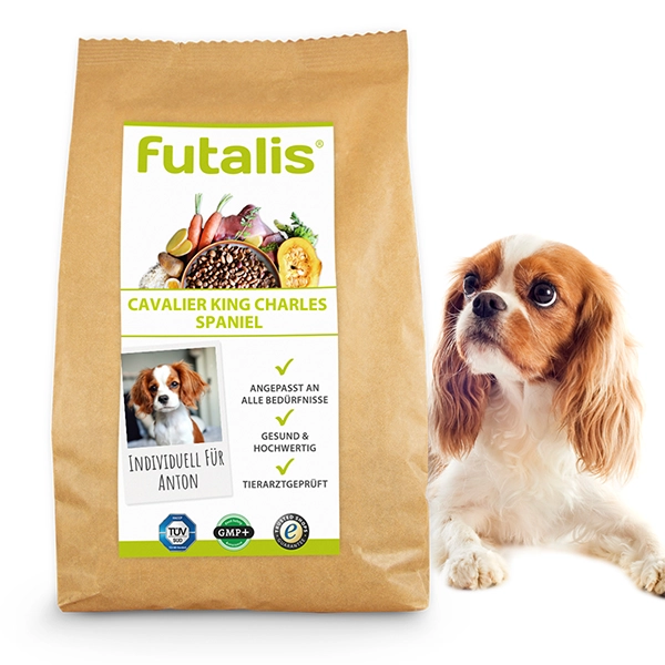 cavalier-king-charles-spaniel-futter-von-futalis