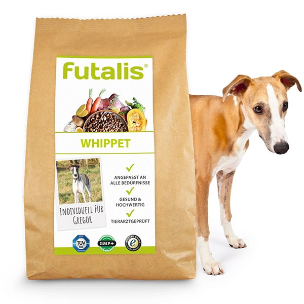 Whippet Rassefutter
