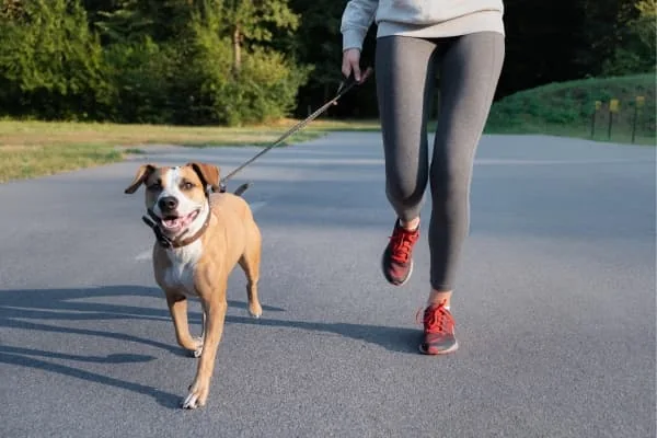 Frau-joggt-mit-Hund-auf-der-Strasse