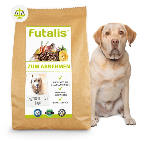 Hundefutter-Abnehmen