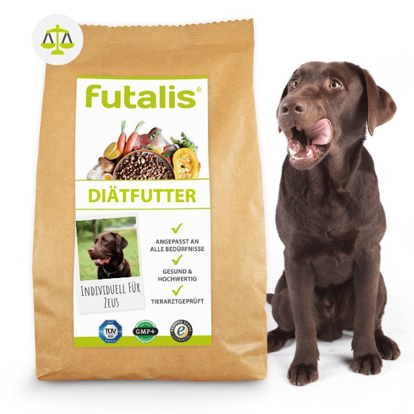 Hundefutter-Diaetfutter