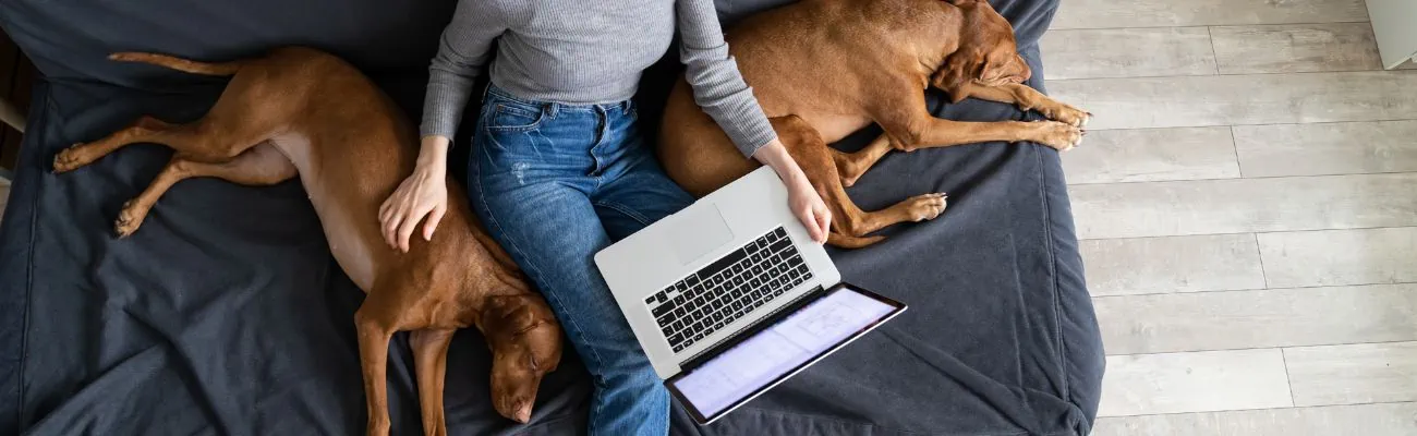 Frau-mit-Hunden-und-Laptop-auf-der-Couch
